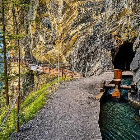 Avec Vue Sur Les Alpes Au Calme - *
